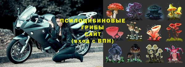 первитин Алексеевка