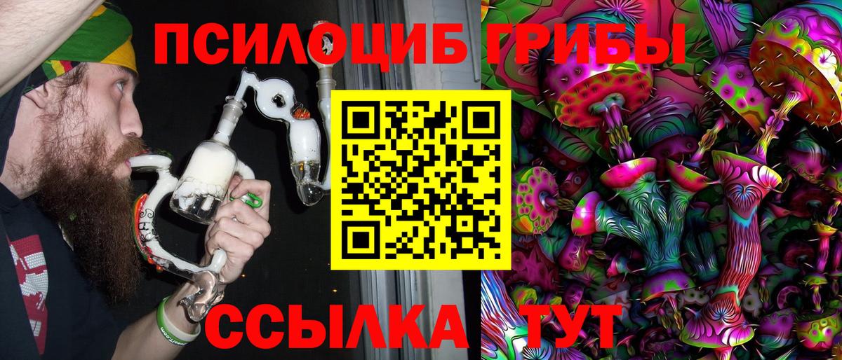 Псилоцибиновые грибы Cubensis Сунжа
