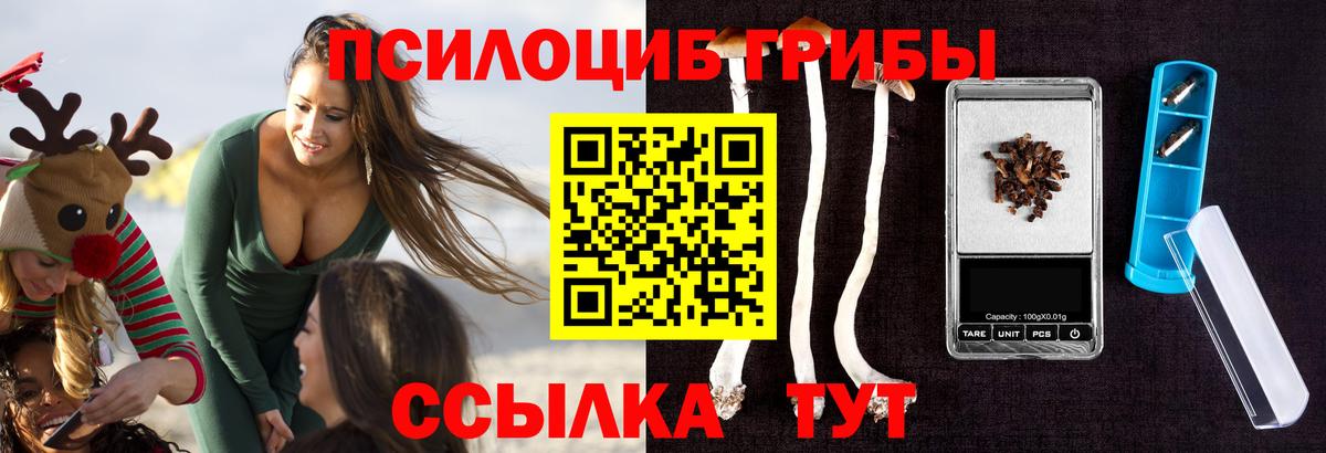 купить закладку  Вход с VPN  Псилоцибиновые грибы мицелий  Сунжа  Псилоцибиновые грибы прущие грибы 