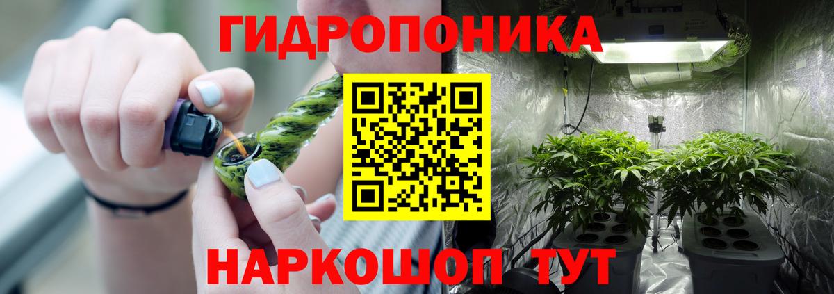 Бошки марихуана ГИДРОПОН  Марихуана планчик  Каннабис Amnesia  Вход с VPN  Сунжа 
