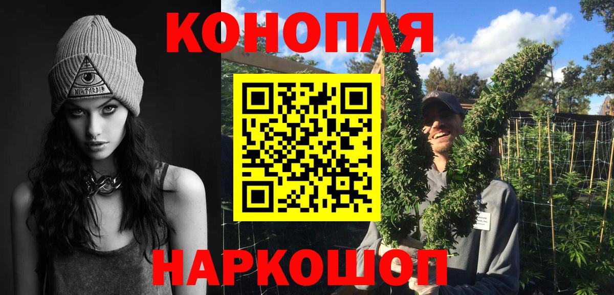 Каннабис конопля Сунжа